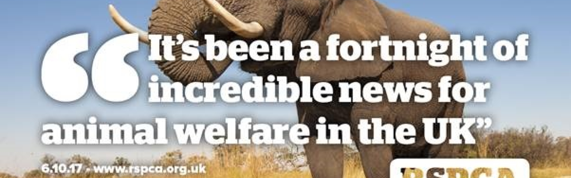 Animal Welfare