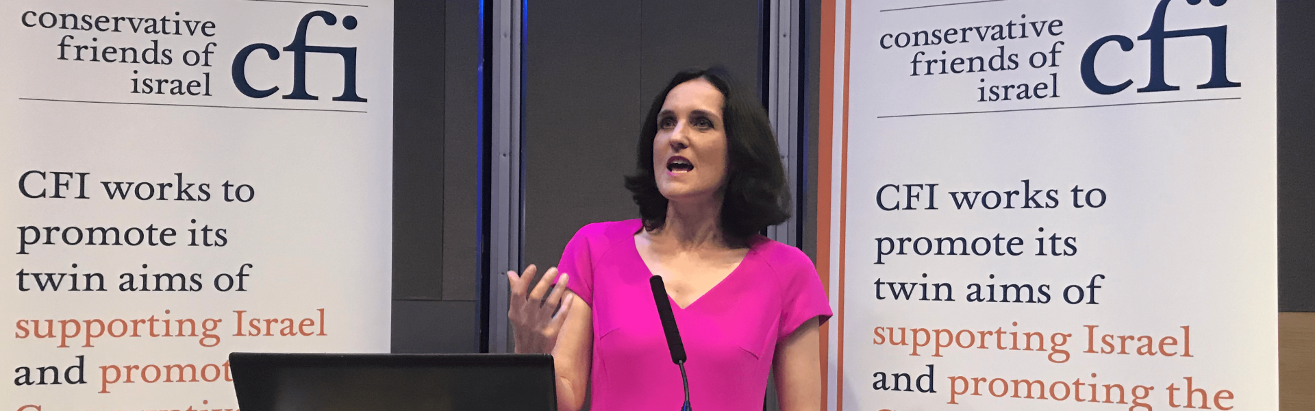  Theresa Villiers CFI