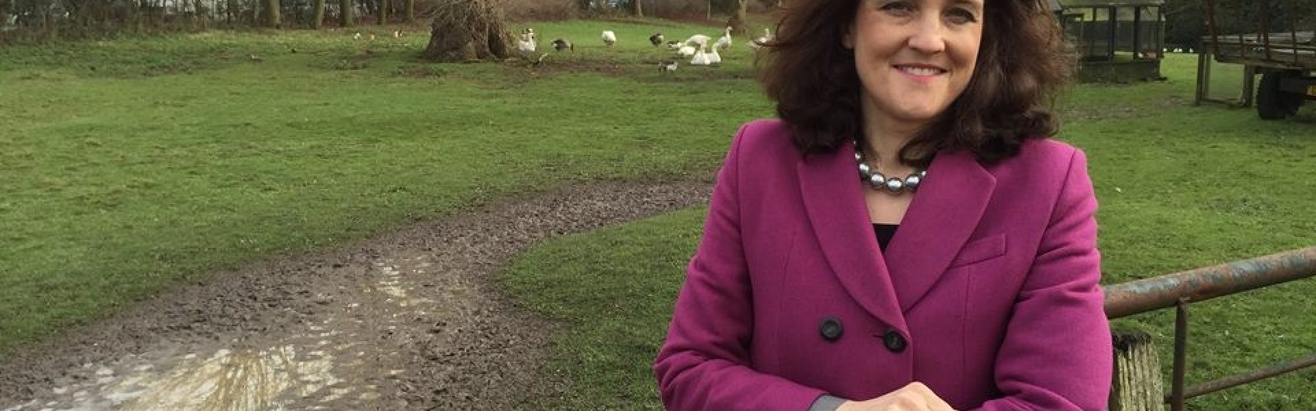 Theresa Villiers