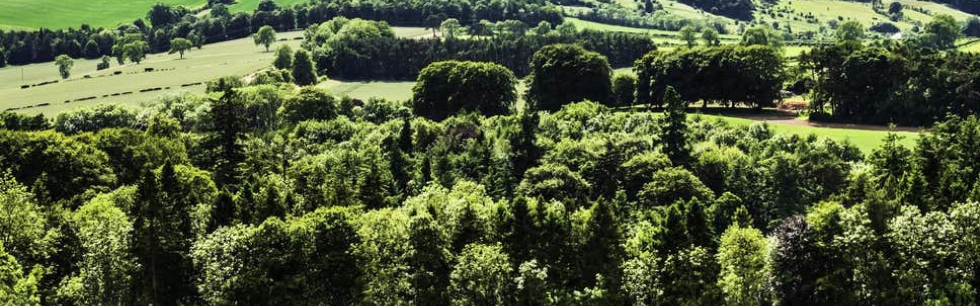 Landscape picture