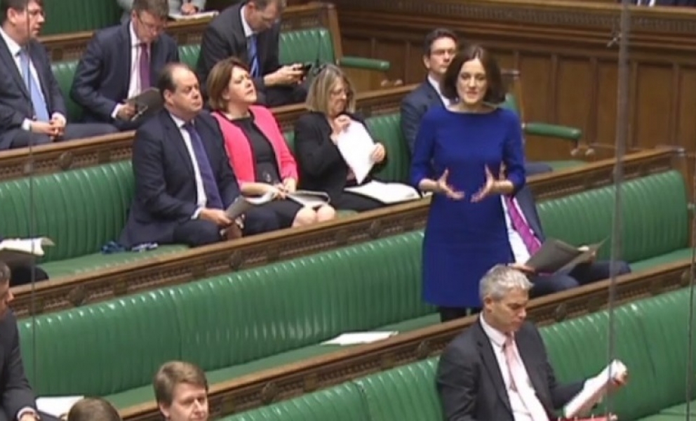 Theresa Villiers in Parliament