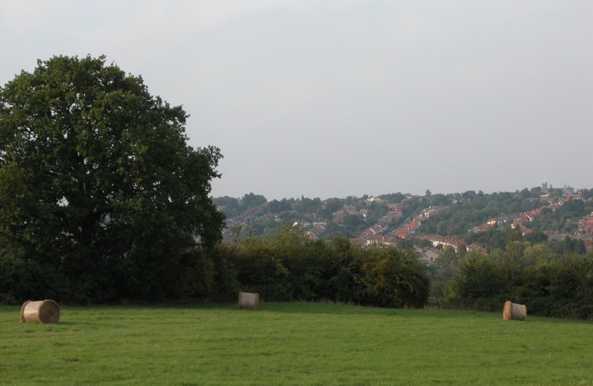 View of Barnet green belt