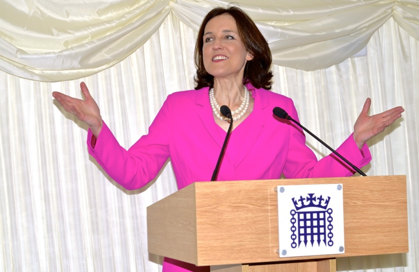 Theresa Villiers Parliament