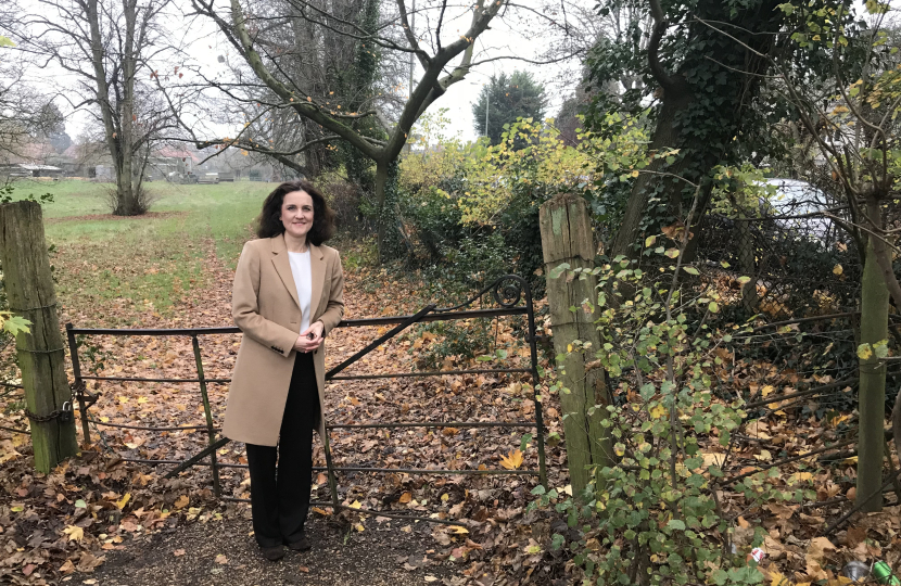Villiers campaigns to save fields at Whalebones