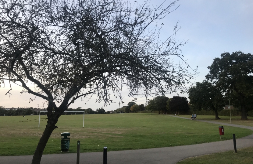 Playing fields at Underhill