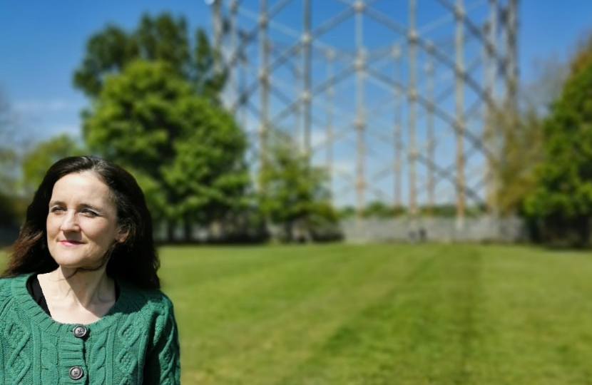 Theresa Villiers campaigns against overdevelopment and planning algorithm