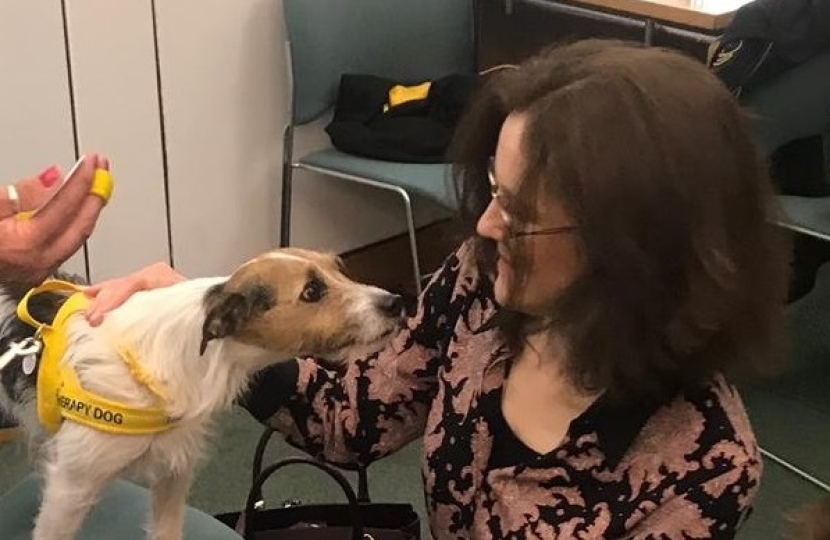 Theresa Villiers MP meets therapy dogs