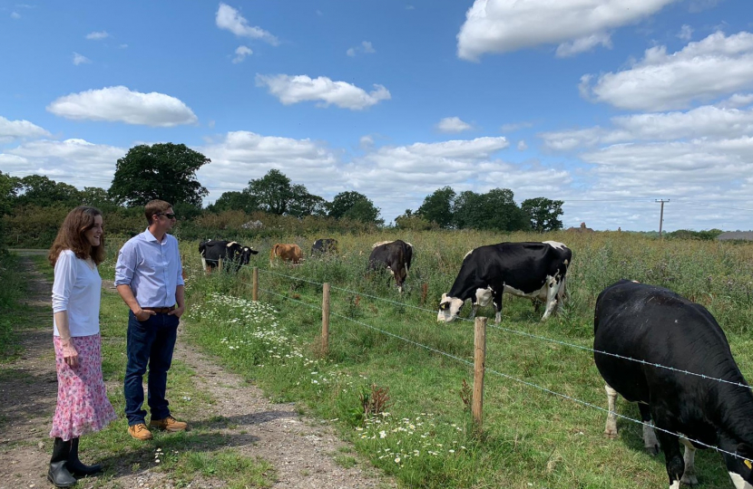 Theresa Villiers visits an ice-cream farm in Hertsmere