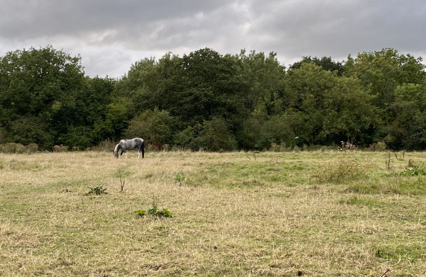 Green belt land under threat in Mays Lane in Barnet