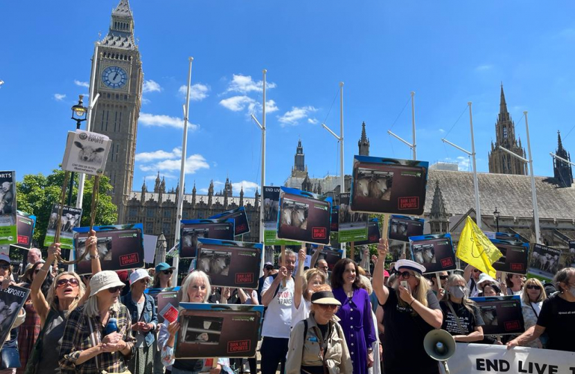 Theresa Villiers attends rally calling for a ban on live exports