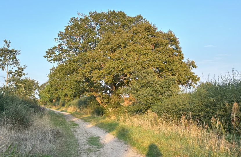 Hertfordshire countryside