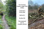 Barnet Society photo