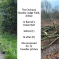 Barnet Society photo