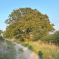 Hertfordshire countryside