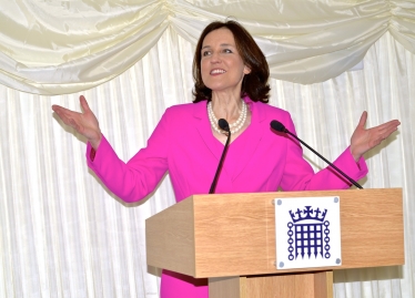 Theresa Villiers Parliament 