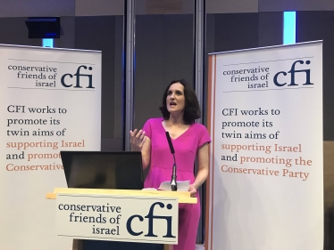 Theresa Villiers CFI