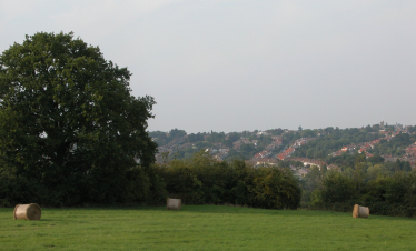 Green belt in Barnet