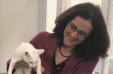 Theresa Villiers MP visiting cat refuge