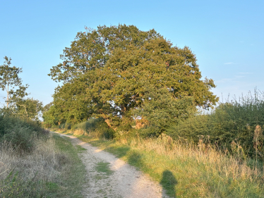 Hertfordshire countryside
